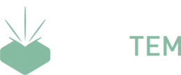 Quantem Innovations logo